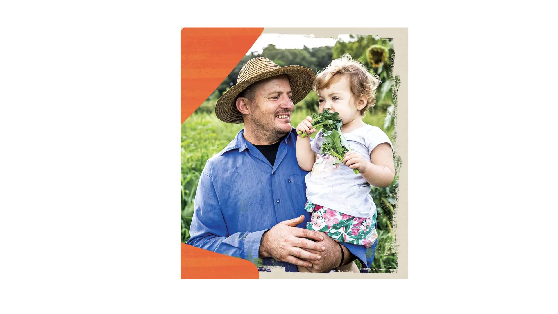 High-Quality Green Coffee Beans from Brazil, Ready for Europe
