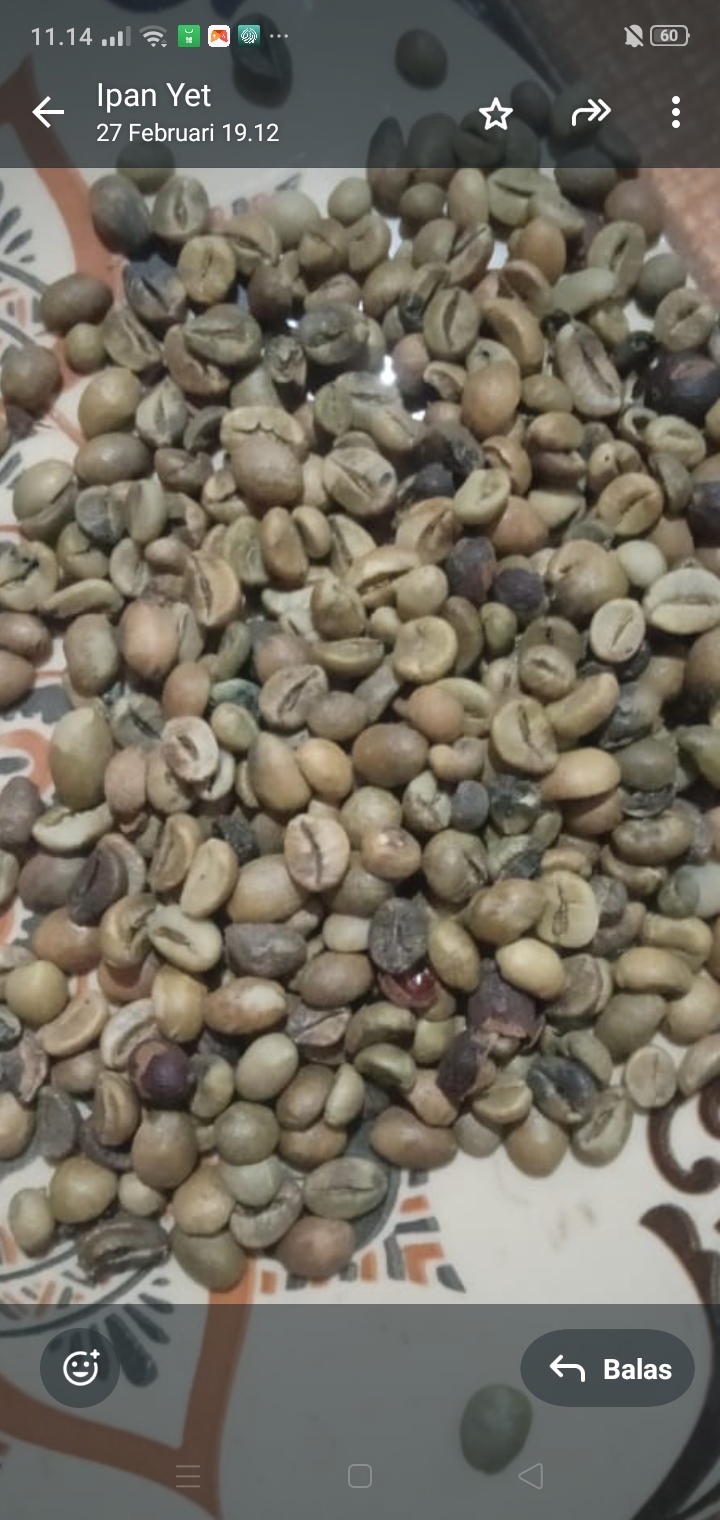 Robusta Coffe beans