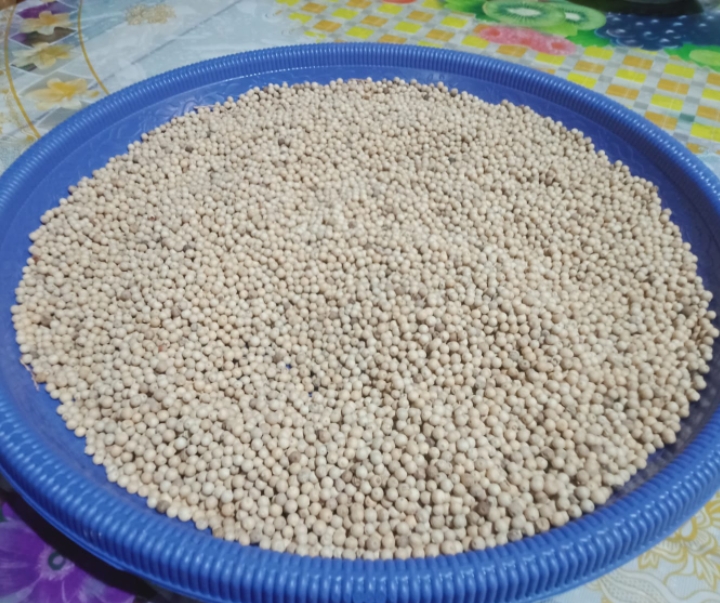 Bangka white pepper