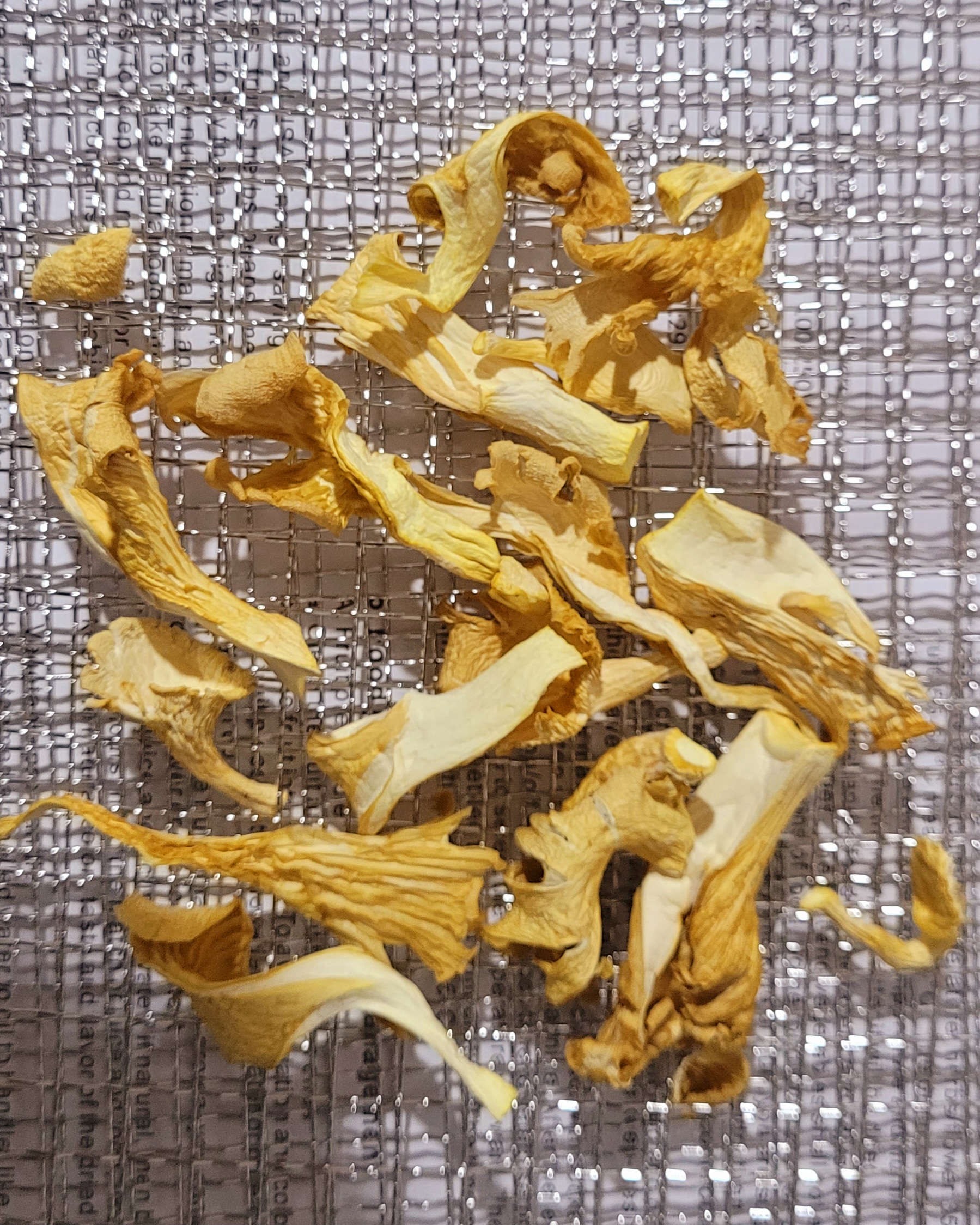 Dehydrate mushrooms