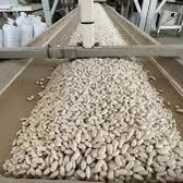 white beans