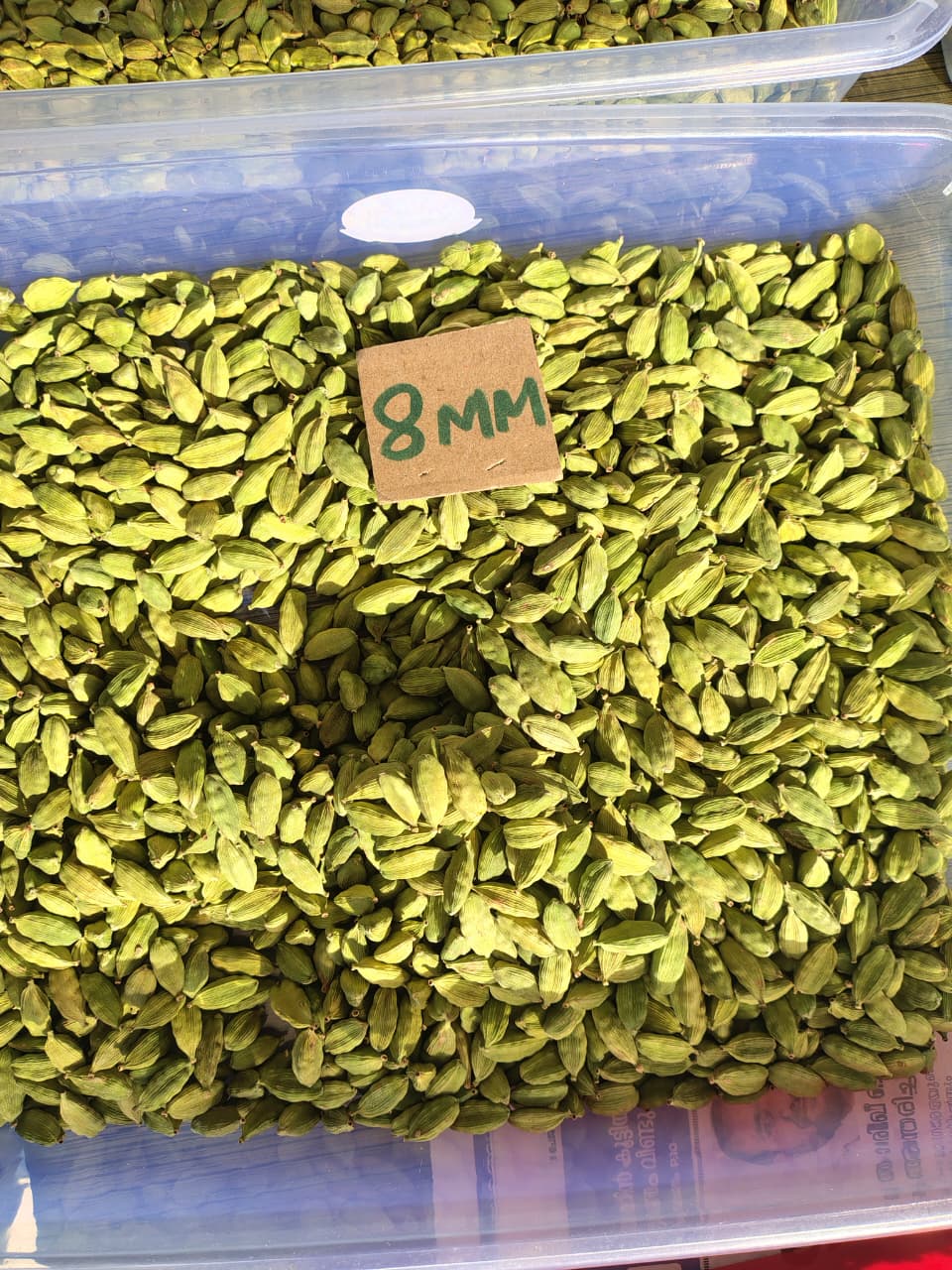 greencardamom